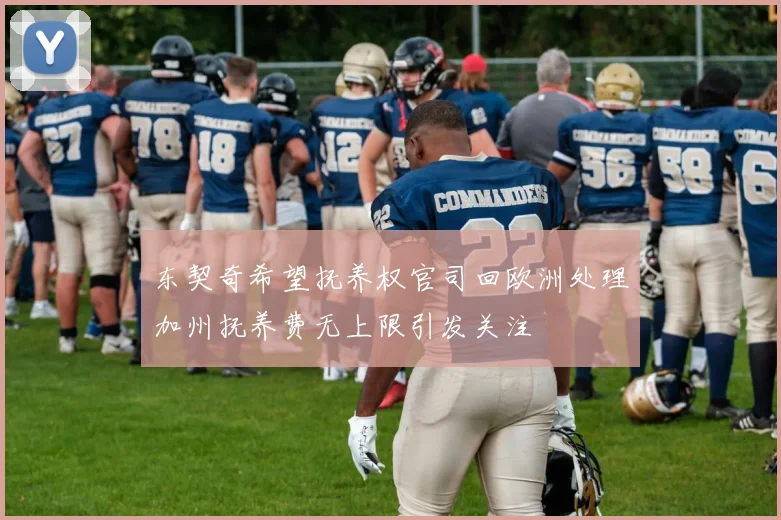 东契奇希望抚养权官司回欧洲处理加州抚养费无上限引发关注