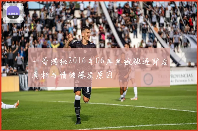 一哥揭秘2016年G6库里被驱逐背后真相与情绪爆发原因