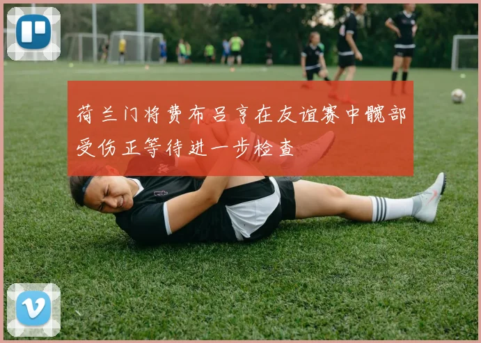 荷兰门将费布吕亨在友谊赛中髋部受伤正等待进一步检查